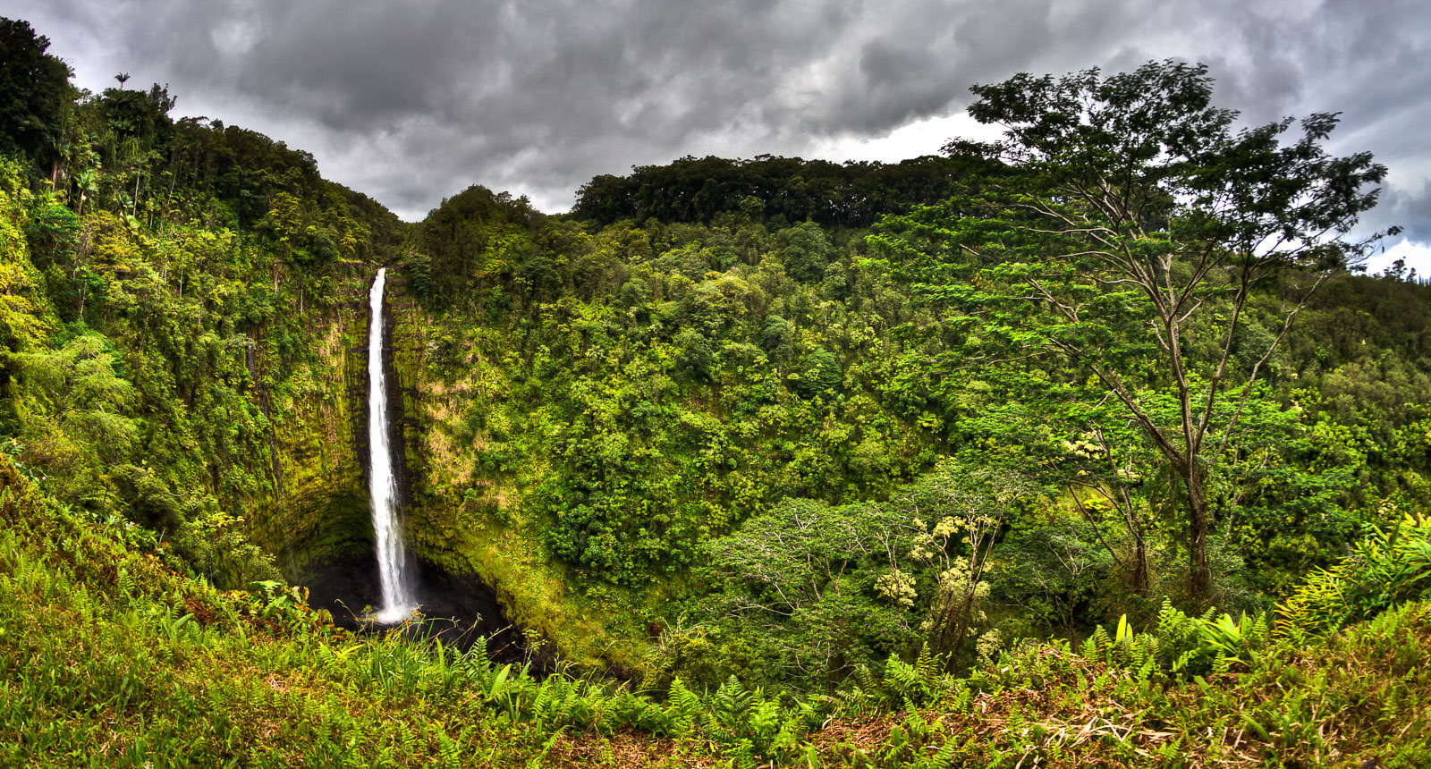 State Hwy 22, Hilo, Hawaii, United States