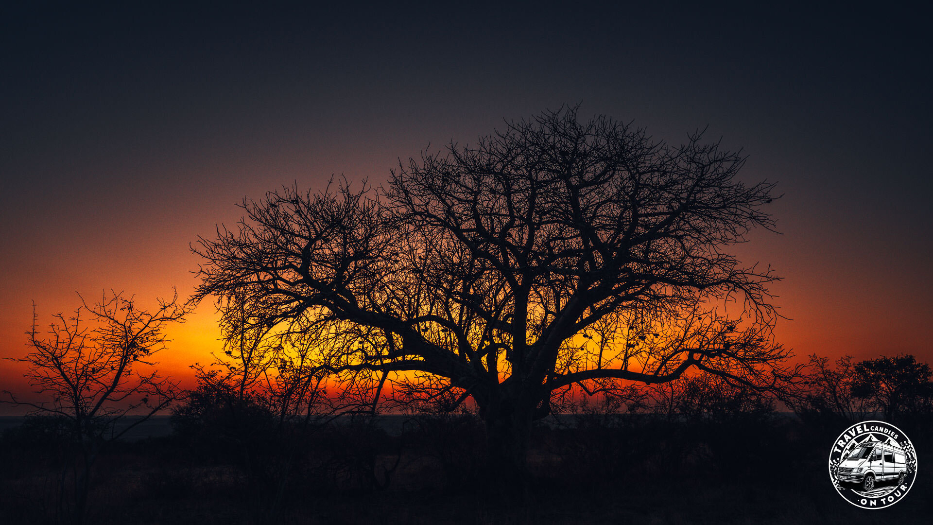 Botswana, Makgadikgadi Pans, Kukonje Island - Dukwi - GPS (-20,912649; 26,203326)