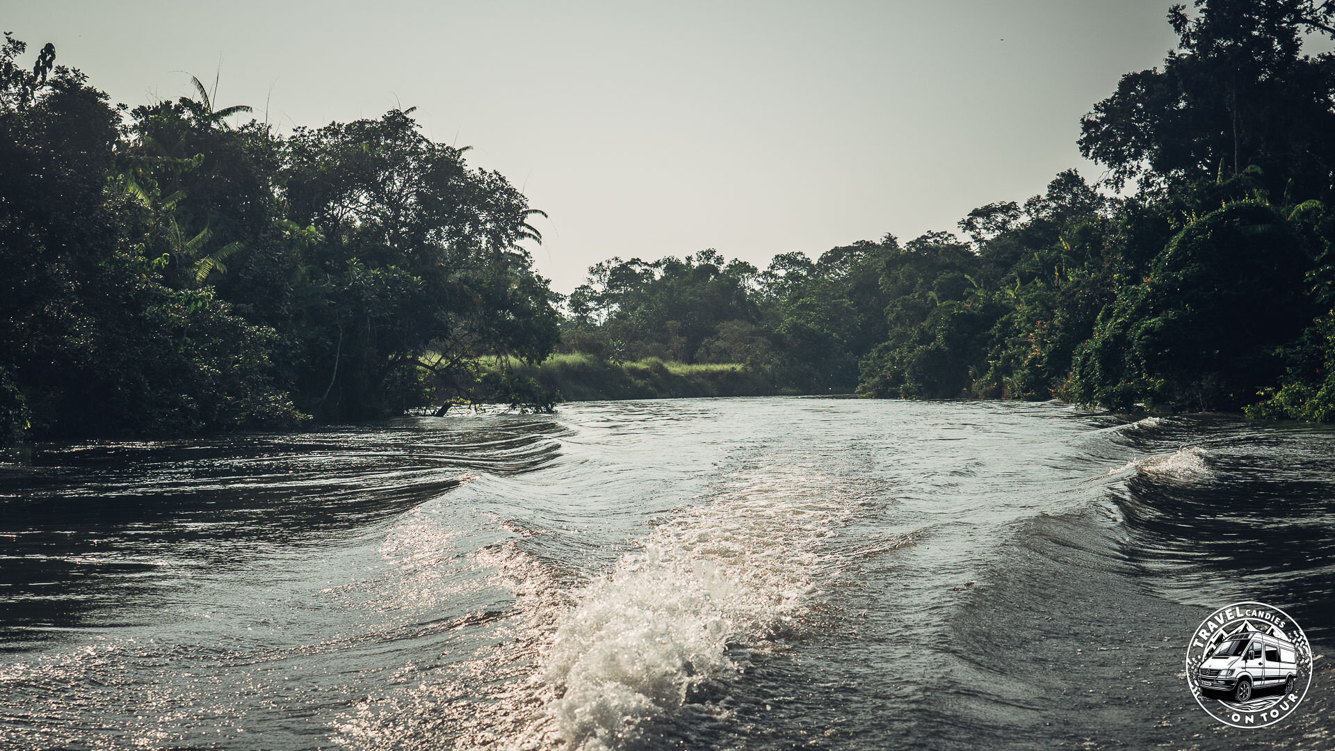 Republic Of Congo, Camp Abio, Gorilla Sighting - Mpoumako - GPS (-3,098029; 15,526470)