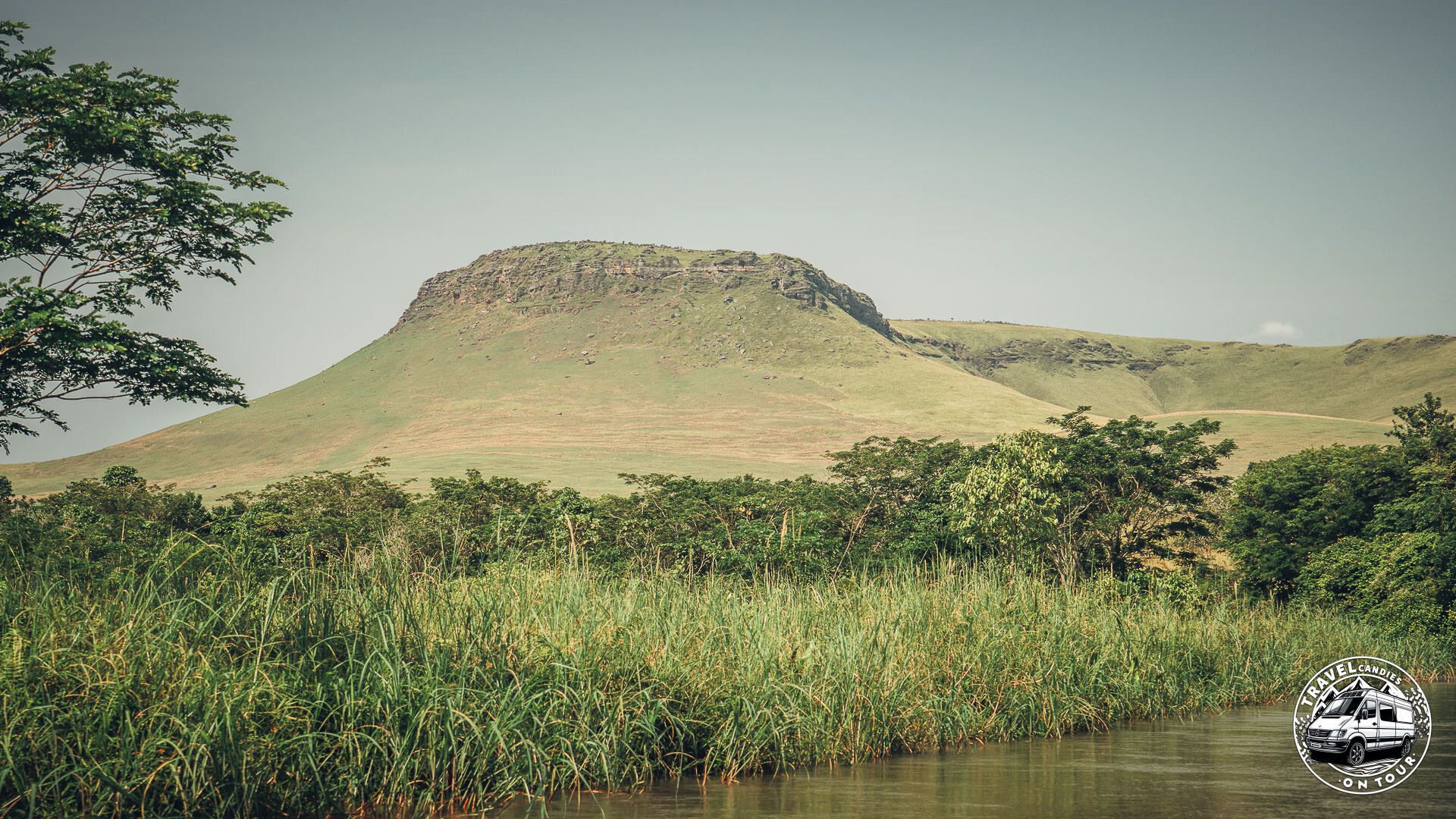 Republic Of Congo, Camp Abio, Gorilla Sighting - Mpoumako - GPS (-3,123581; 15,546236)