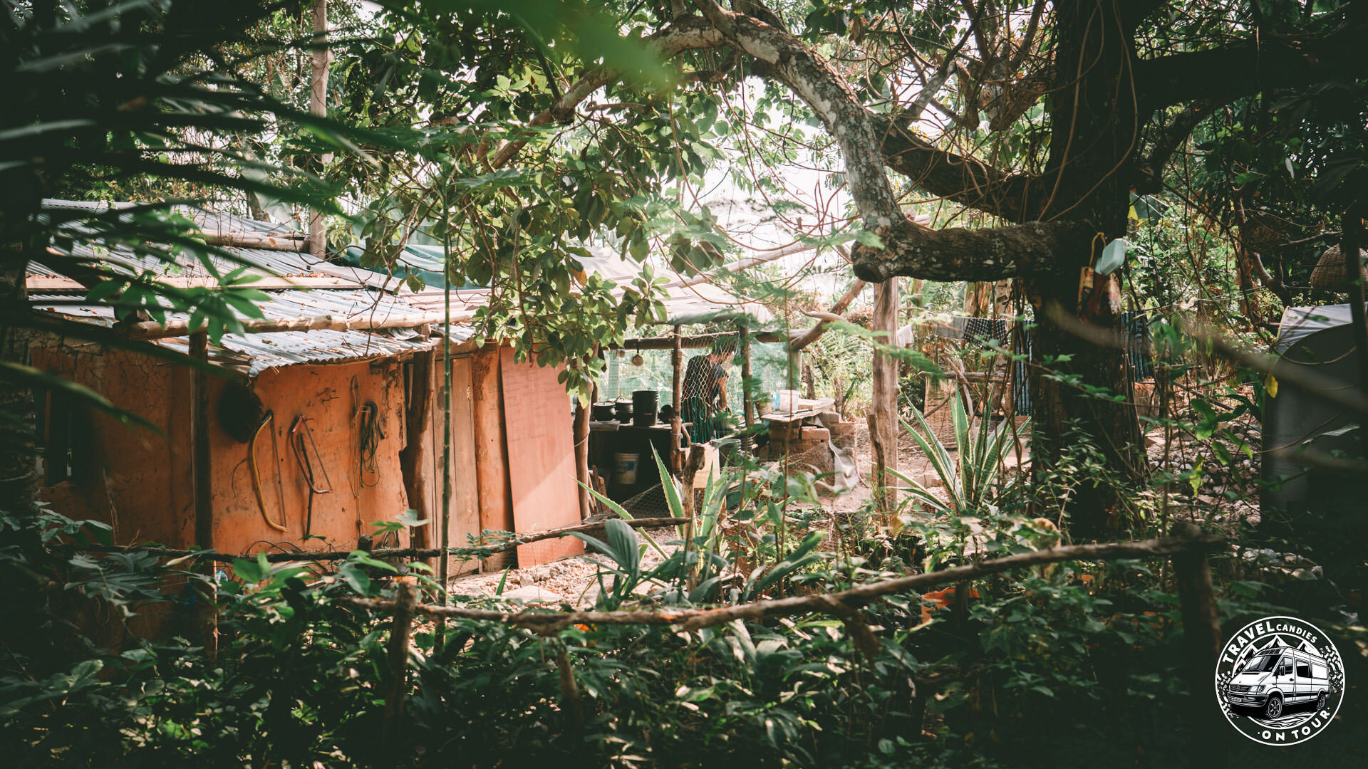 Togo, Project Perma Togo - Goudévé Vého - GPS (7,248821; 0,765806) 10