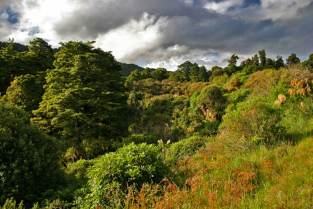 Whakapapa Village, National Park, , Neuseeland