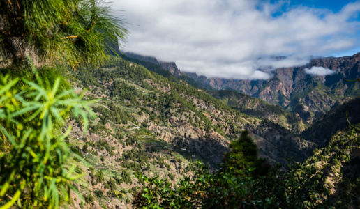 El Gánigo, Llanos De Aridane, Canarias, Spain