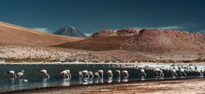 Chile - San Pedro De Atacama - GPS (-22,609363; -68,060762)