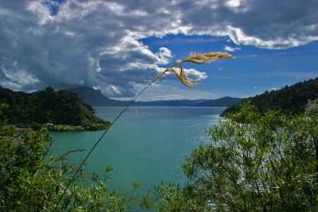 Waikaremoana, Tuai, , Neuseeland