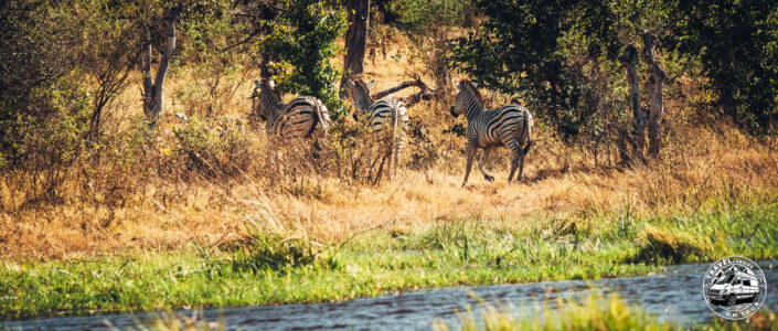 Botswana, Khwai Village - GPS (-19,122203; 23,769236)