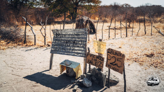 Botswana, Makgadikgadi Pans - GPS (-21,100200; 25,655560)