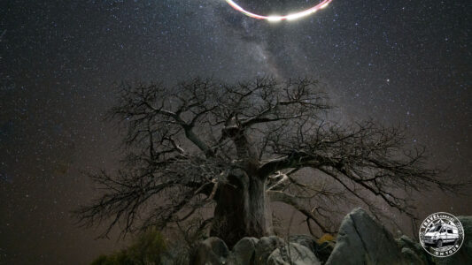 Botswana, Makgadikgadi Pans, Kubu Island - GPS (-20,889697; 25,824274)