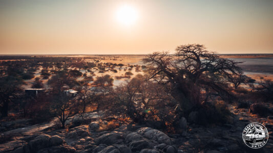 Botswana, Makgadikgadi Pans, Kubu Island - Mmatshumo - GPS (-20,889906; 25,824943)