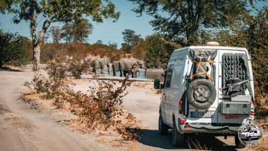 Botswana, Shaleshanto - GPS (-19,101636; 23,882203)