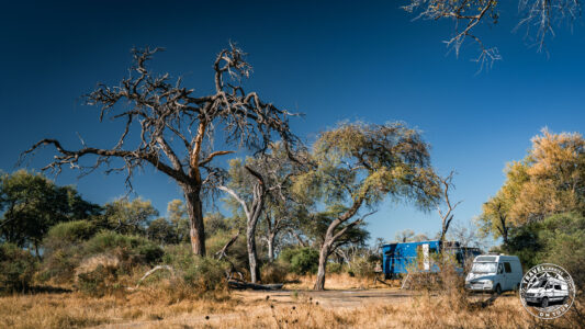 Botswana, Shaleshanto - GPS (-19,123563; 23,865990)