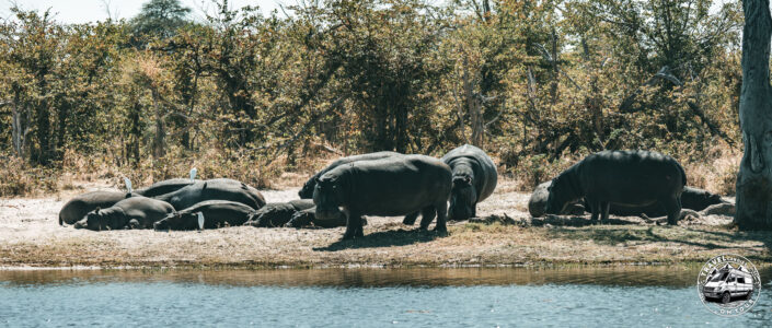 Botswana, Shaleshanto - GPS (-19,206699; 23,995857)