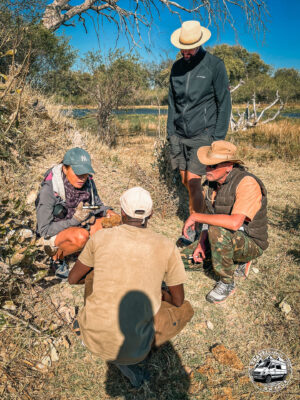 Botswana, Shorobe - GPS (-19,122206; 23,769258)
