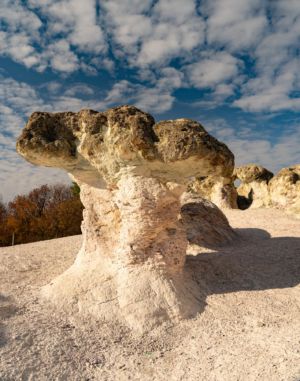 Bulgaria, Stone Mushrooms, Beli Plast - GPS (41,785428; 25,432324)