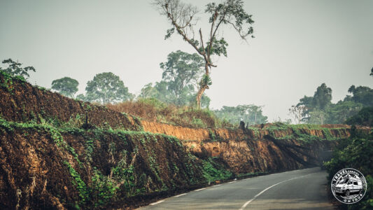 Cameroon, Ikiliwindi - Ikiliwindi Mile 10 - GPS (4,726603; 9,489549)
