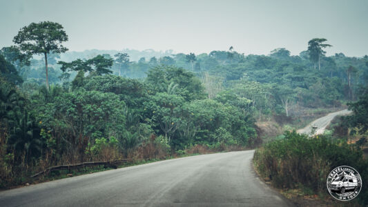 Cameroon, Ndjok Nkong I - Omog - GPS (3,871319; 10,904898)