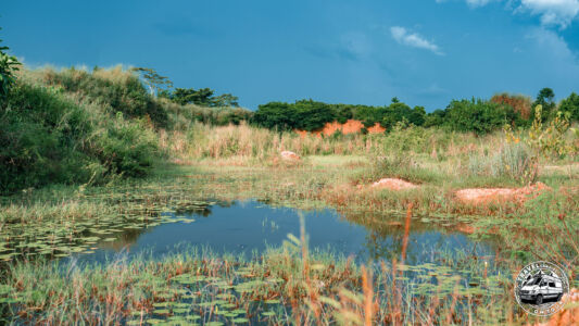 Democratic Republic Of Congo, Kanga - GPS (-5,822922; 12,887641)