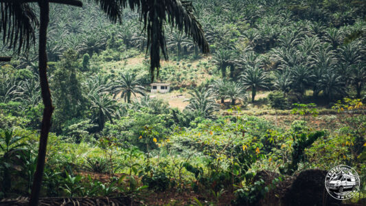 Ivory Coast, Allakro - GPS (5,282458; -2,886808)