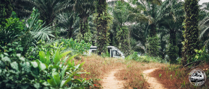 Ivory Coast, Allakro - GPS (5,282458; -2,886810)