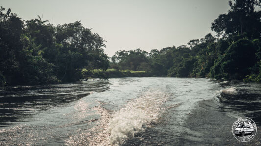 Republic Of Congo, Camp Abio, Gorilla Sighting - Mpoumako - GPS (-3,098029; 15,526470)