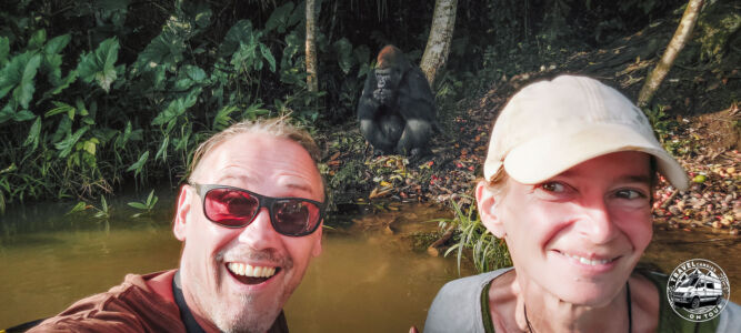 Republic Of Congo, Camp Abio, Gorilla Sighting - Ngabé - GPS (-3,129843; 15,522129)