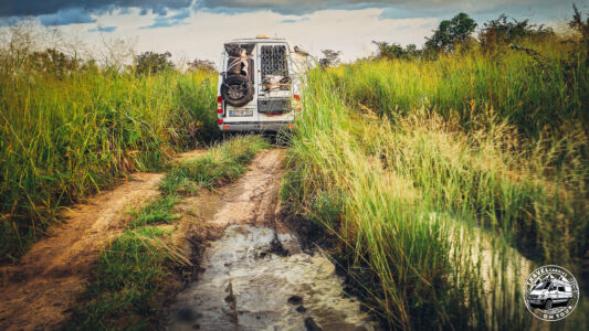 Republic Of Congo, Mpoumako - Ngabé - GPS (-3,109663; 15,592003)