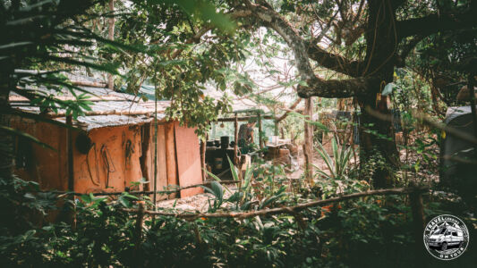 Togo, Project Perma Togo - Goudévé Vého - GPS (7,248821; 0,765806) 10